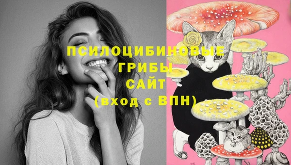 ешки Надым